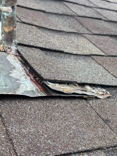 Roof Repair Needed